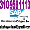 SAP-BPC-TRAINING-SAP-BPC-10-TRAINING