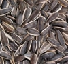 ur high quality, competitive price, timely shipment ,favorable trade terms and high reputations... Product Type: Nut & Seed Oil